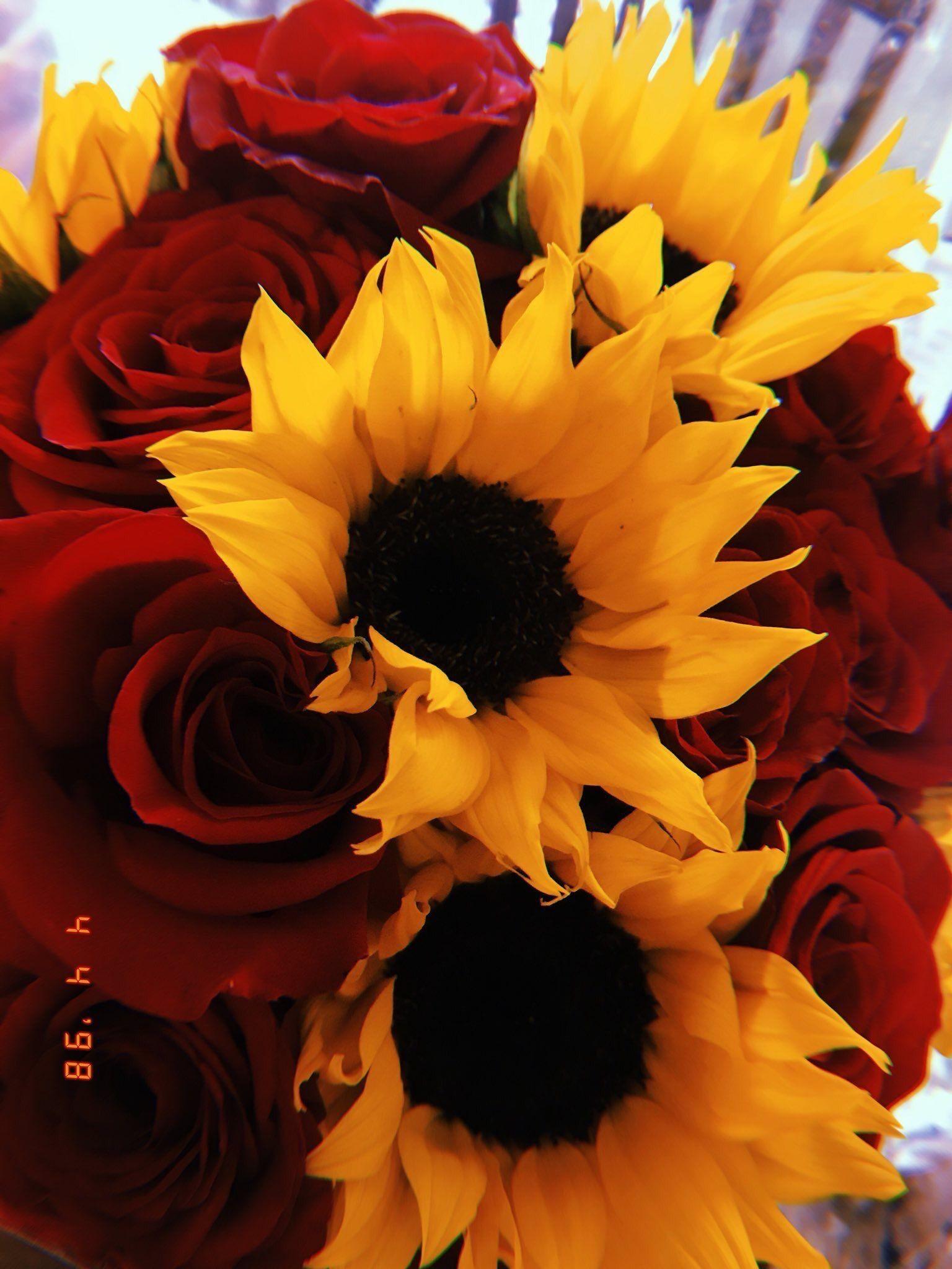 Sunflowers and Red Roses