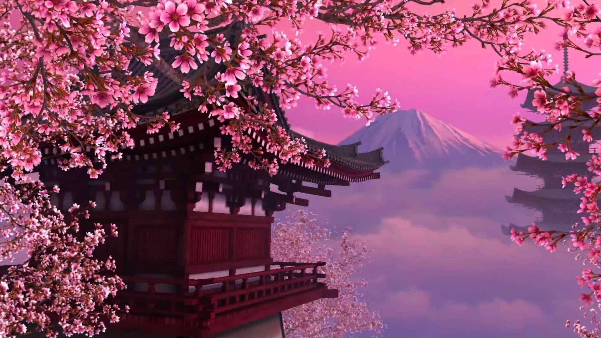 1920x1080 Cherry Blossom HD Wallpaper Blossom Japan HD