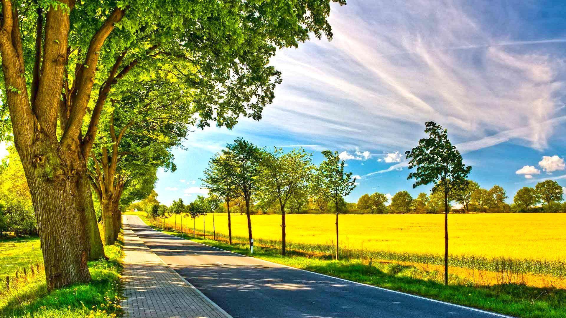 1920x1080 Sunshine Spring Landscape Wallpaper at