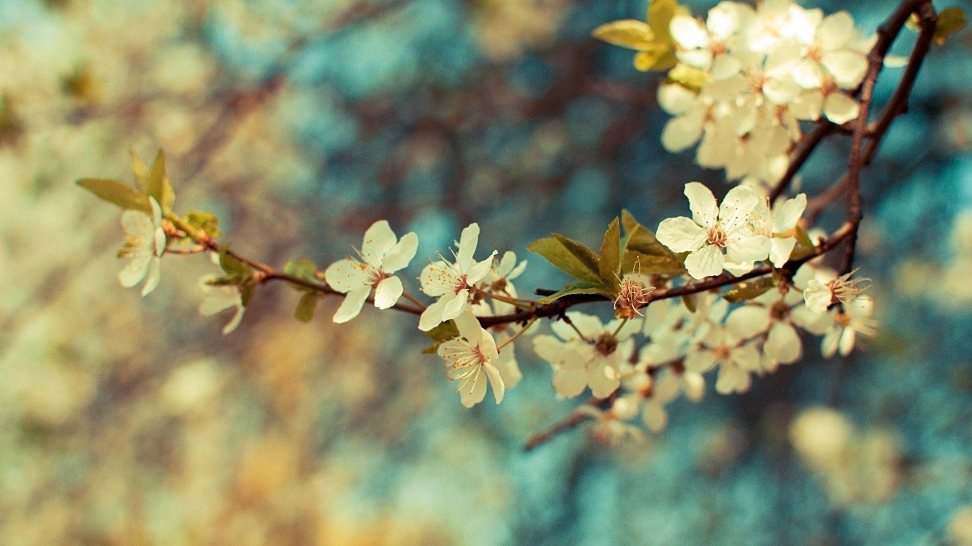 1920x1080 Vintage Desktop Wallpaper