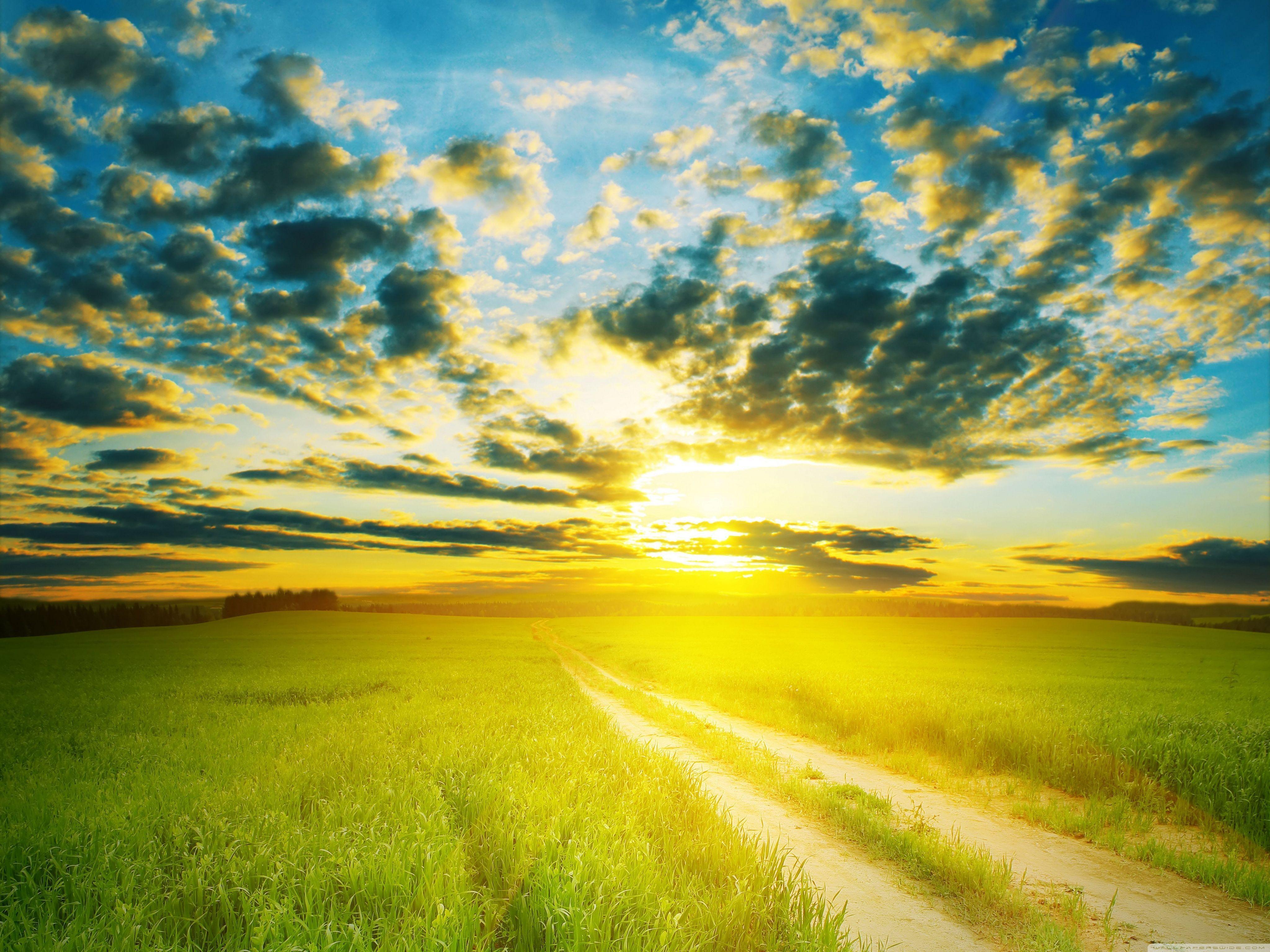 4096x3072 Sunshine HD Wallpaper