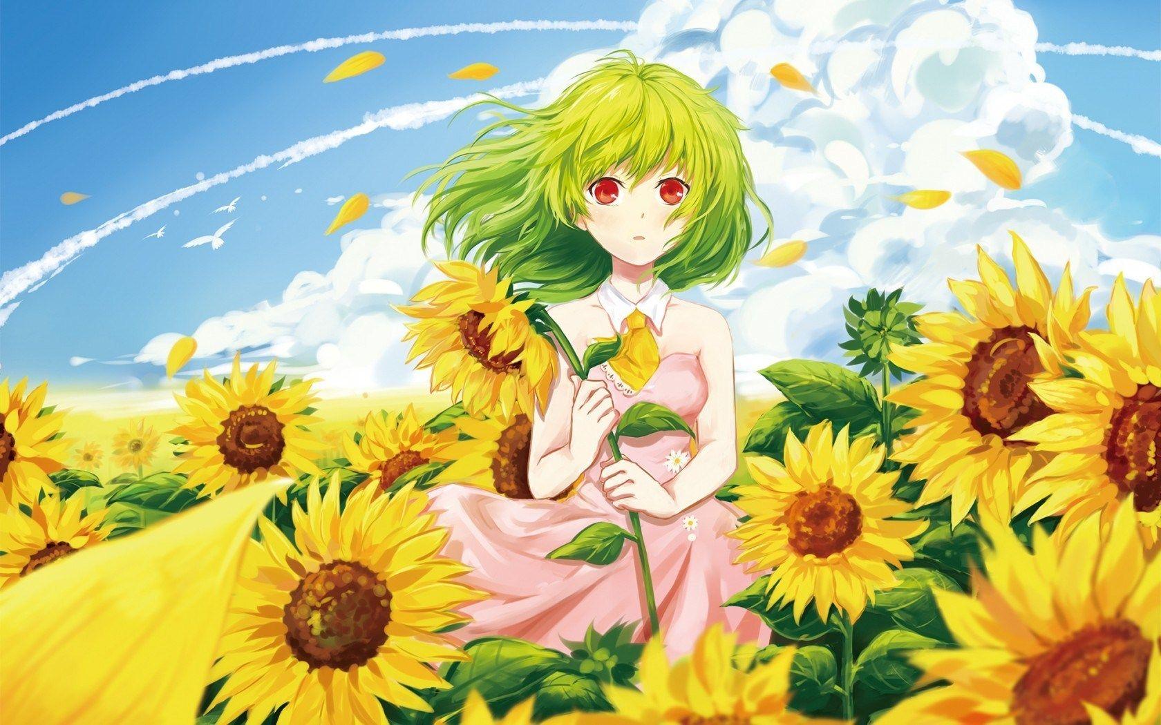 1680x1050 Girl Sunflowers Summer Anime
