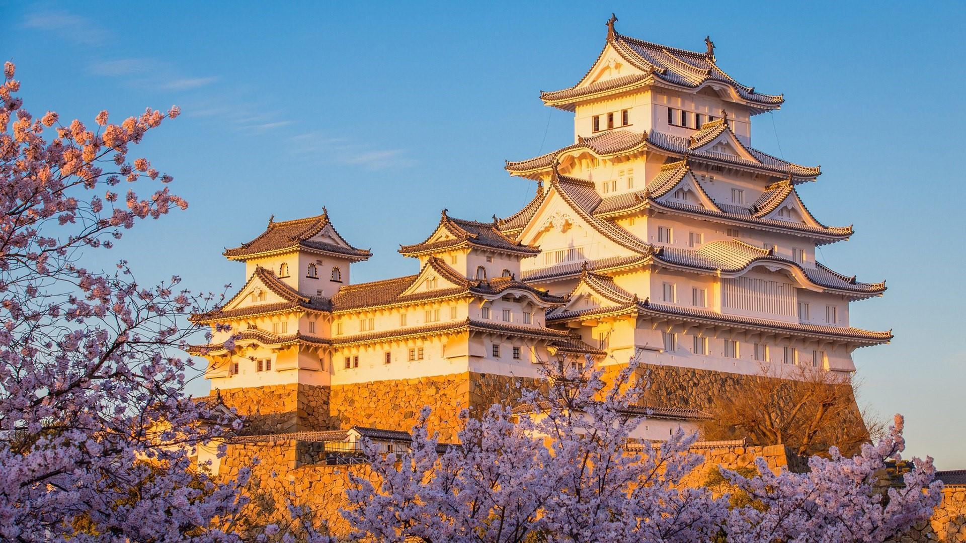 1920x1080 Desktop Background 1920x1080 Japanese Tree