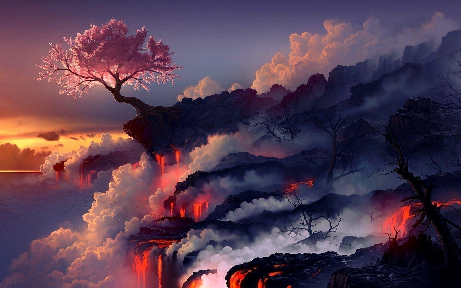 1920x1200 Amazing Cherry Blossom Wide HD Wallpaper Resolution