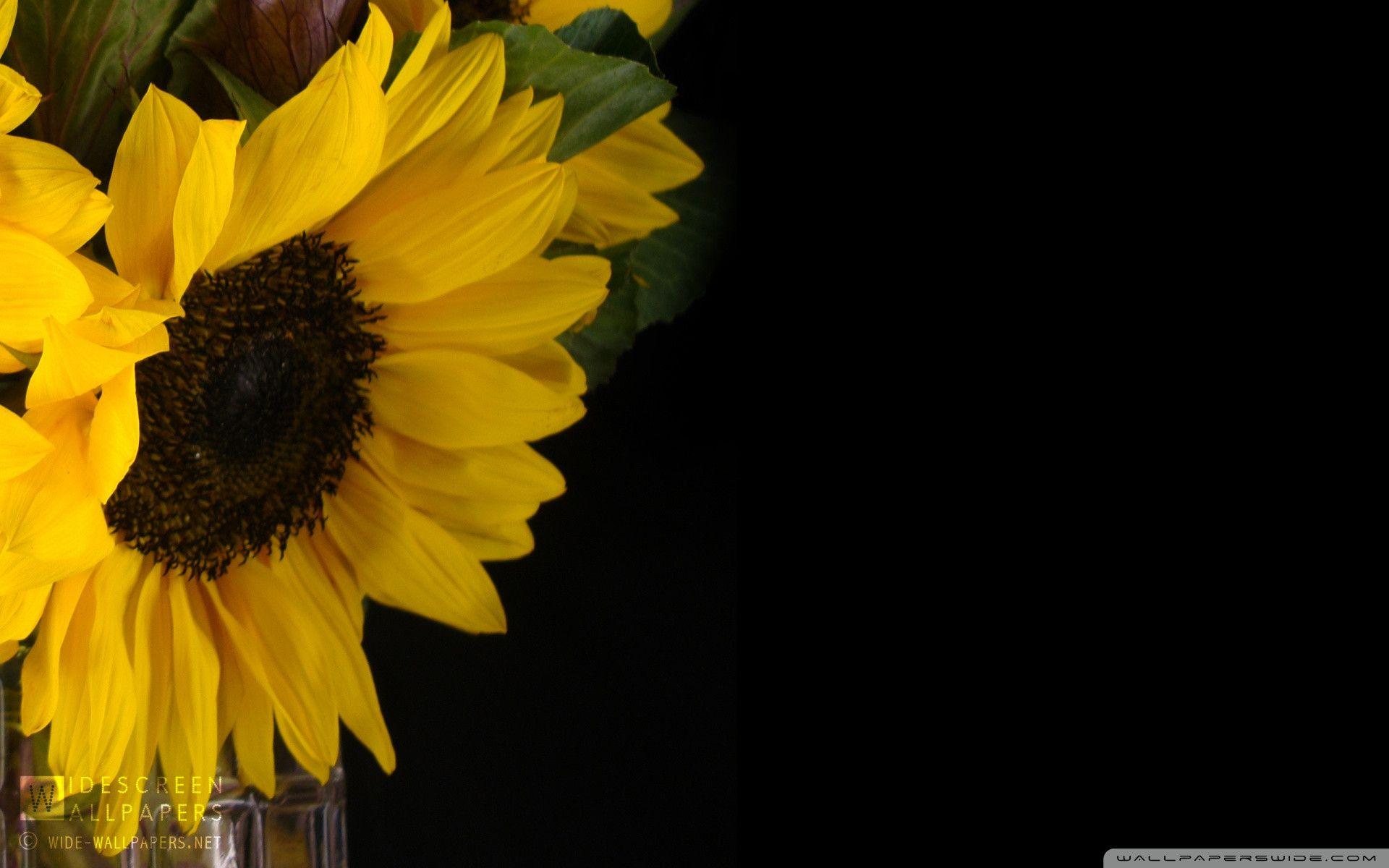 Black Sunflower Wallpapers - Top Free Black Sunflower Backgrounds - WallpaperAccess