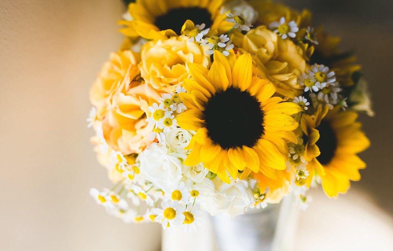 Sunflowers and Roses Wallpapers - Top Free Sunflowers and Roses