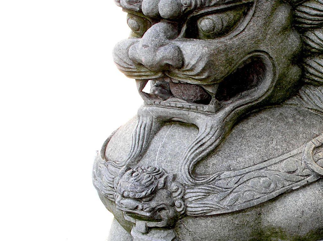 1028x768 Foo Dog Wp By Don Sarcasmo