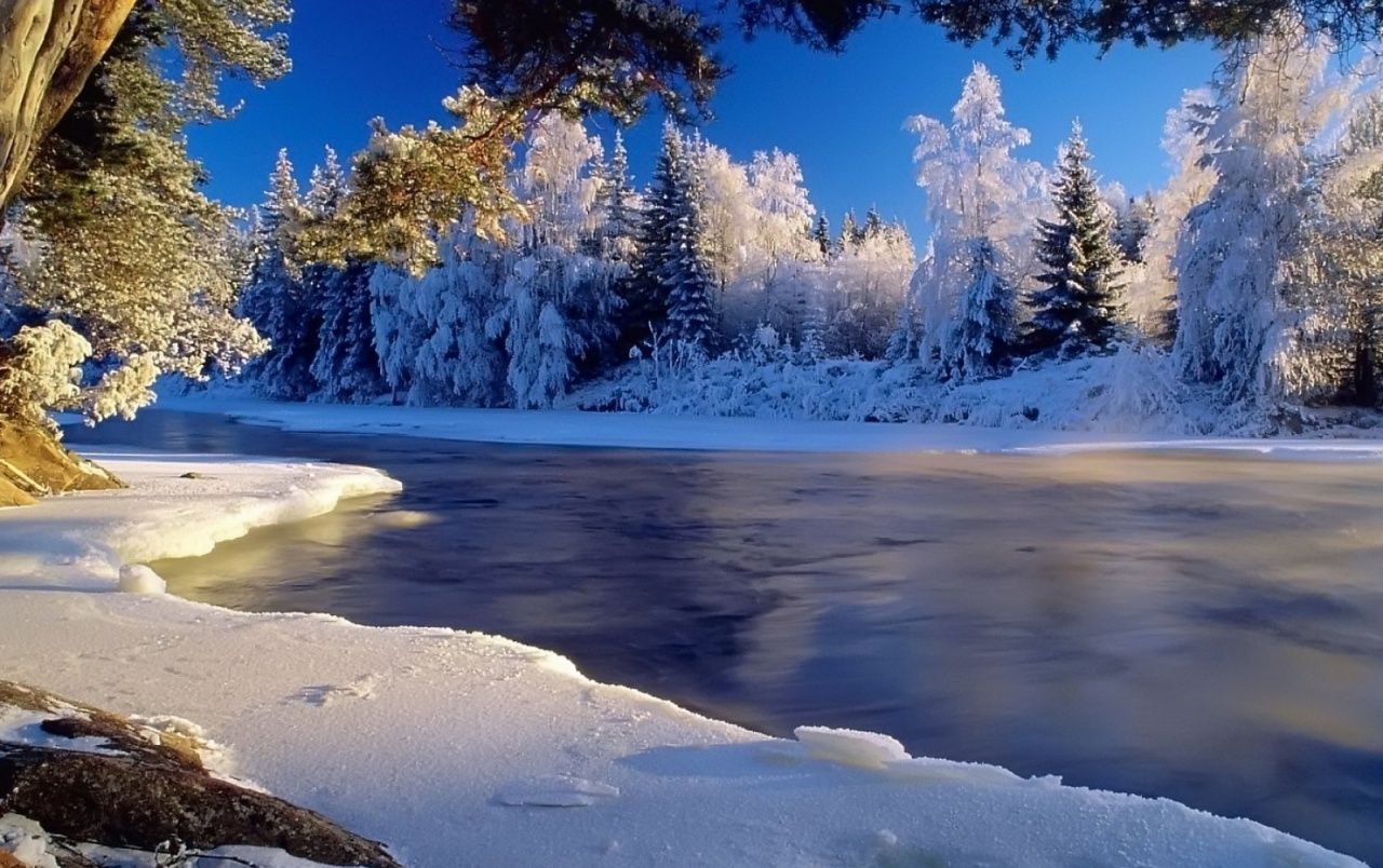 1280x804 Snow Trees & Frozen River wallpaper