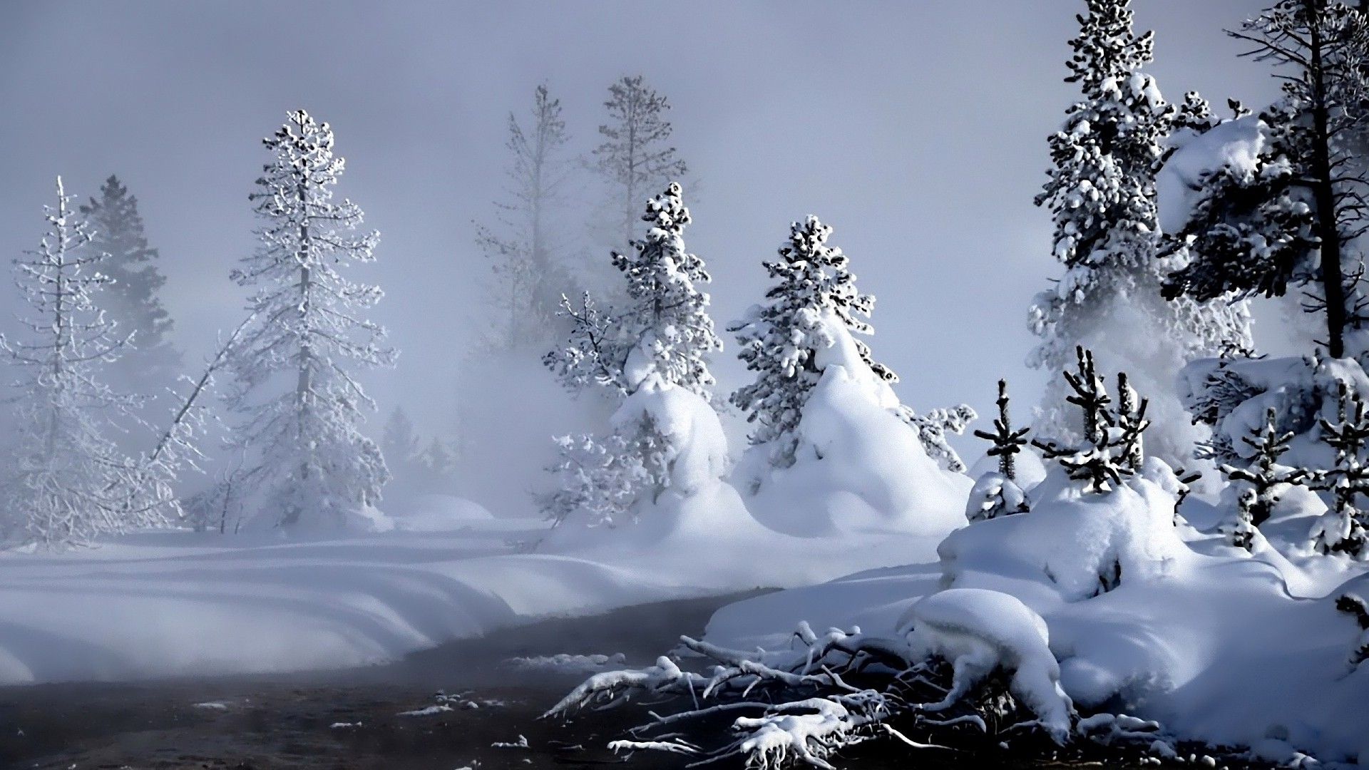1920x1080 Winter, river, evaporation, forest
