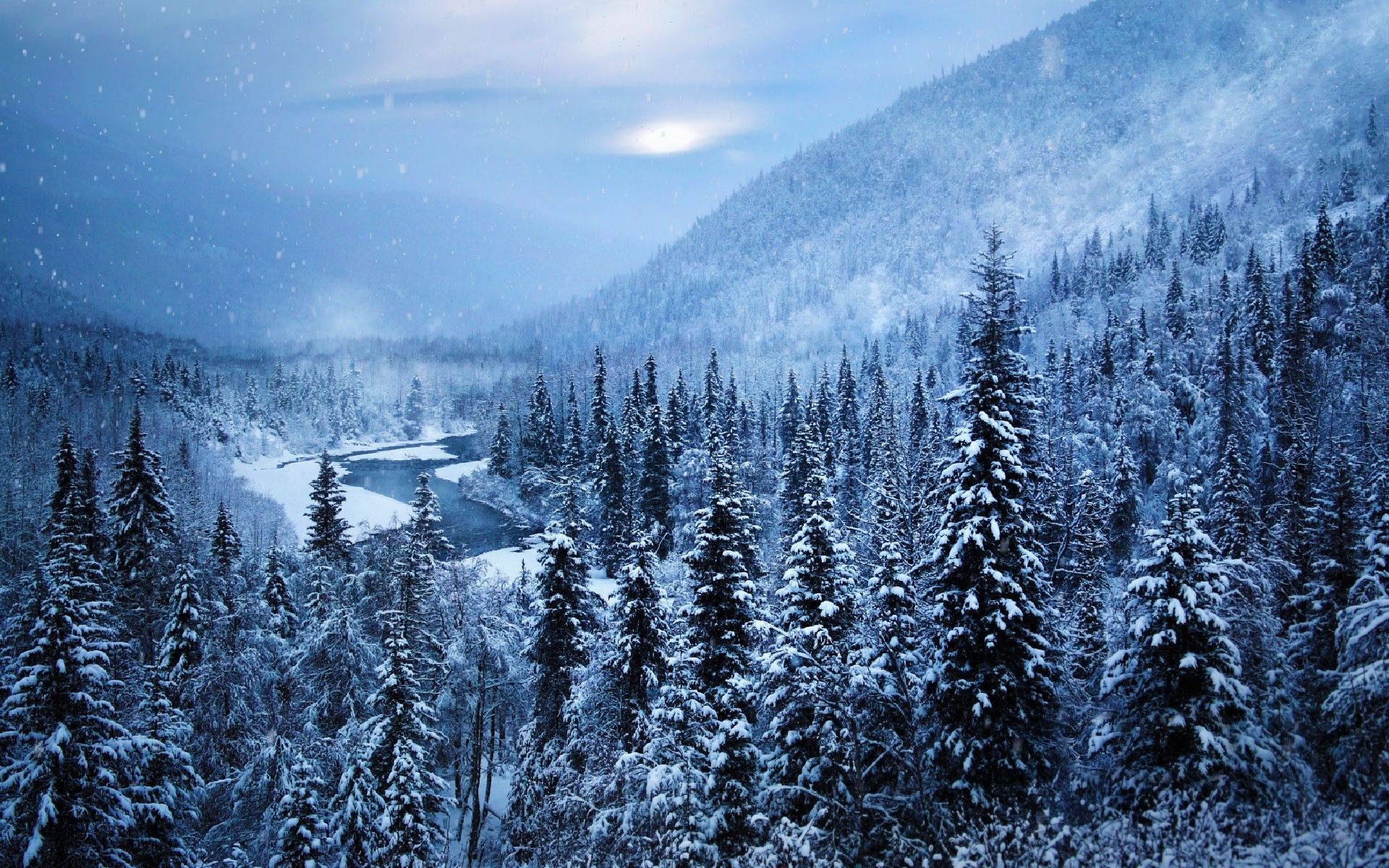 1920x1200 snow, river, forest, white, nature