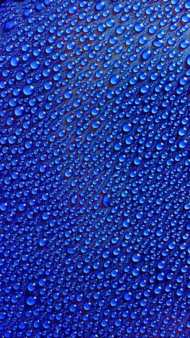 750x1334 Incubated some yogurt, got some nice water droplets on