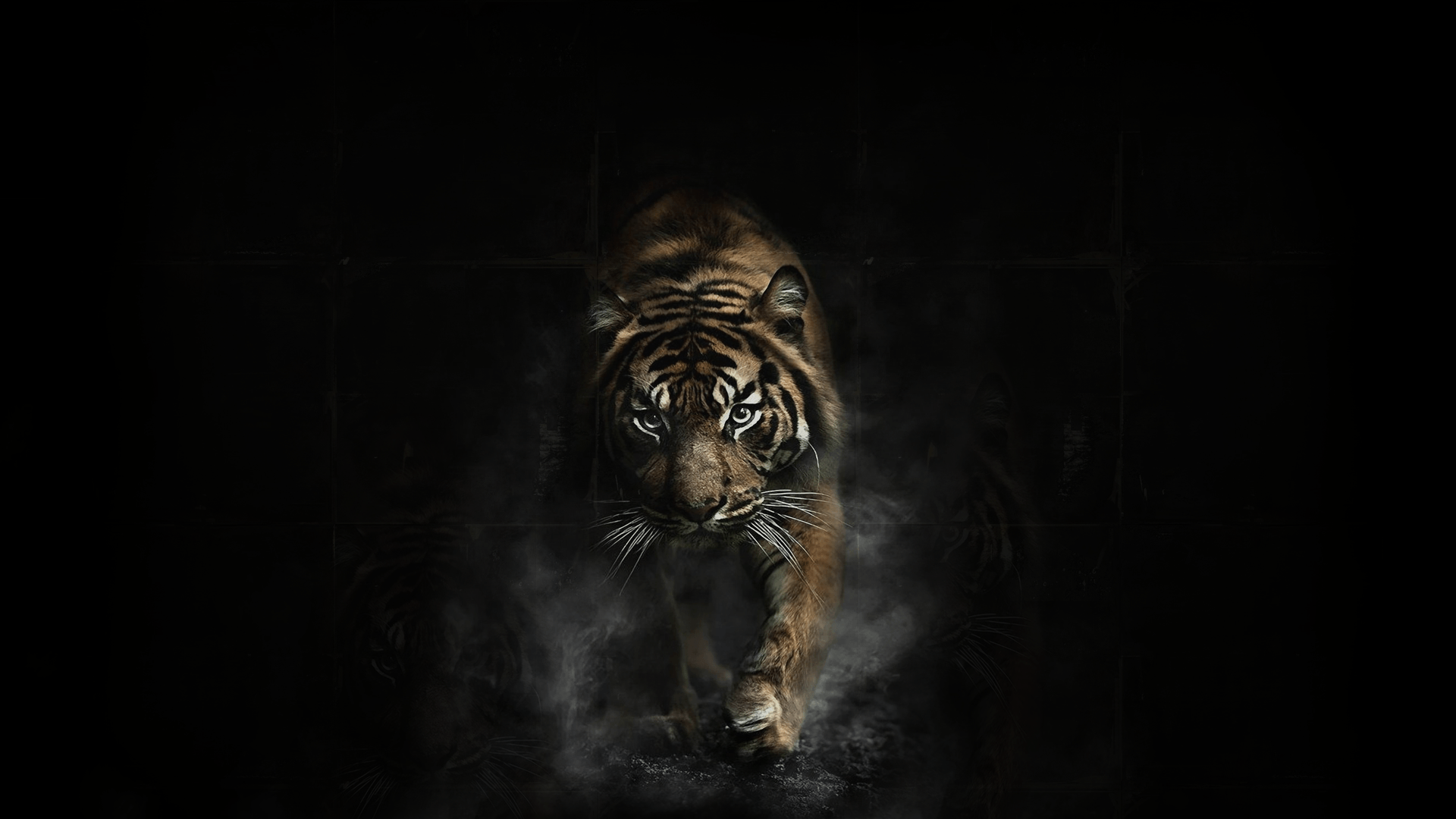 3d Black Tiger Wallpaper Image Num 3