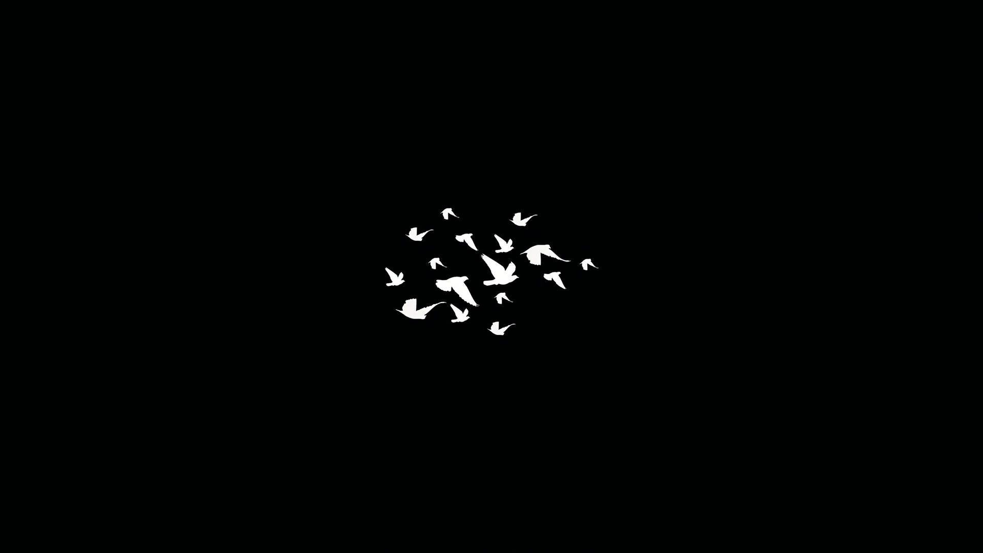 1920x1080 Download Dark Minimalist Flock Of Birds