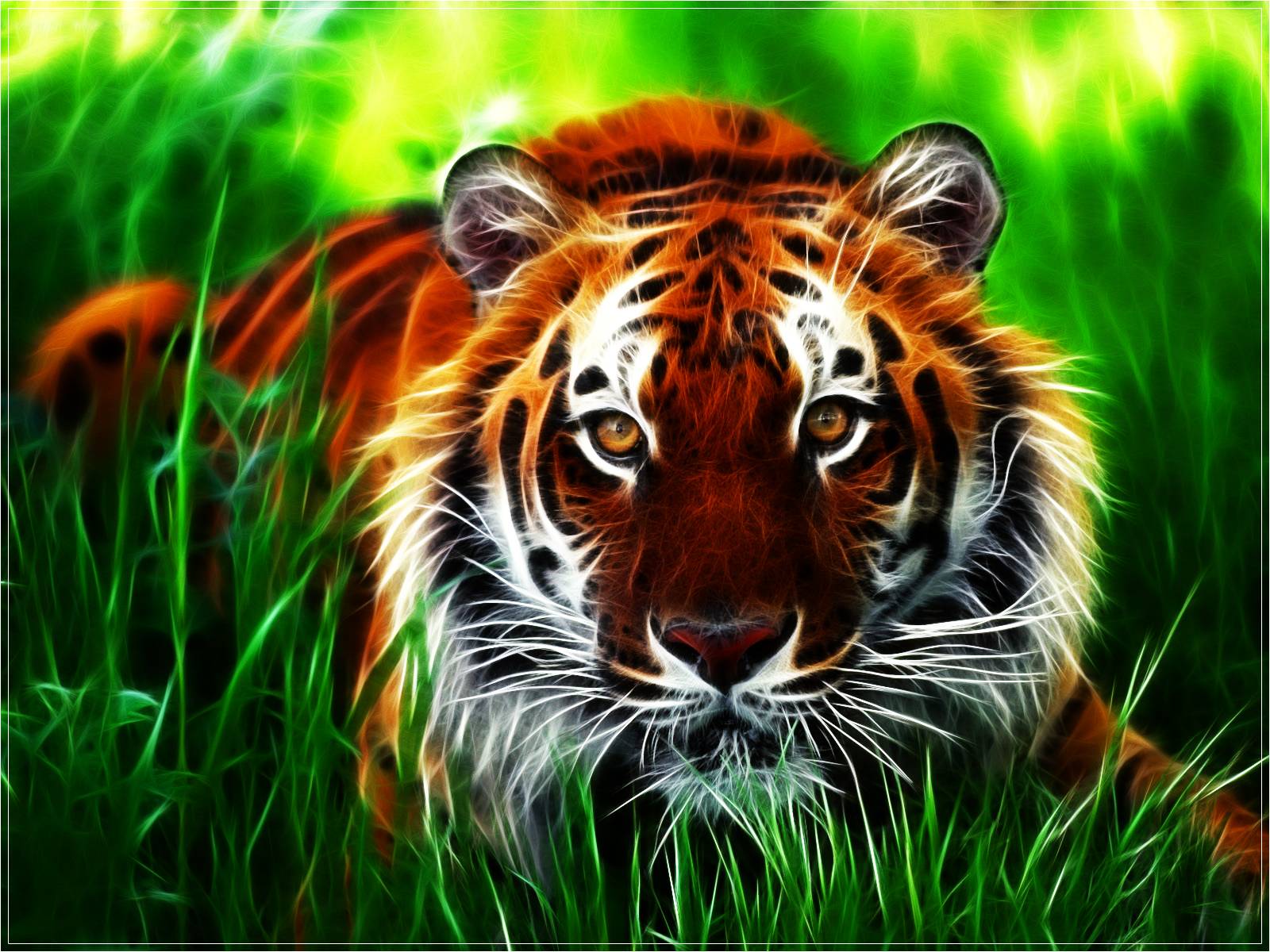 Tiger Desktop Wallpapers - Top Free Tiger Desktop Backgrounds -  WallpaperAccess