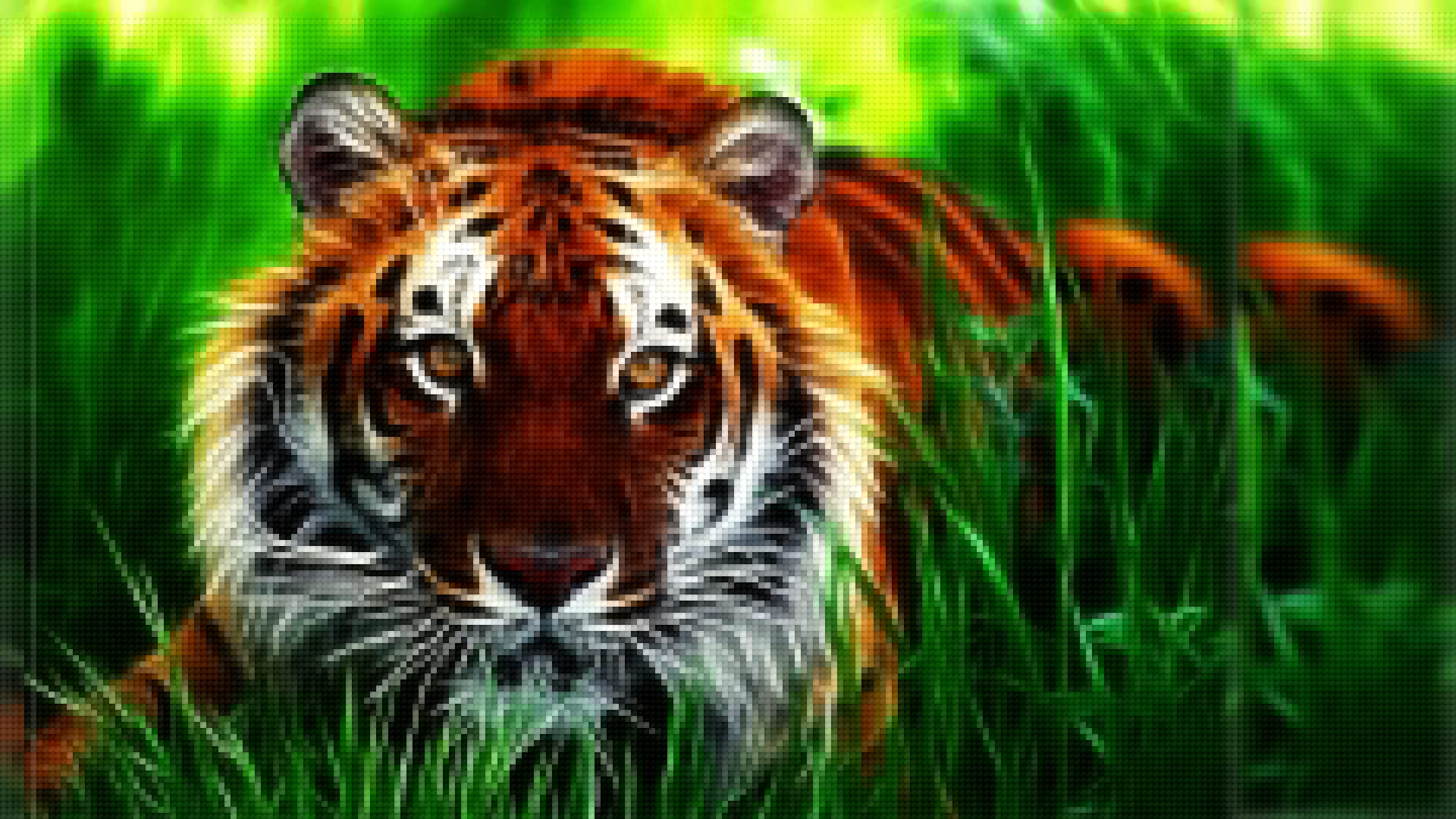 1920x1080 Tiger Background
