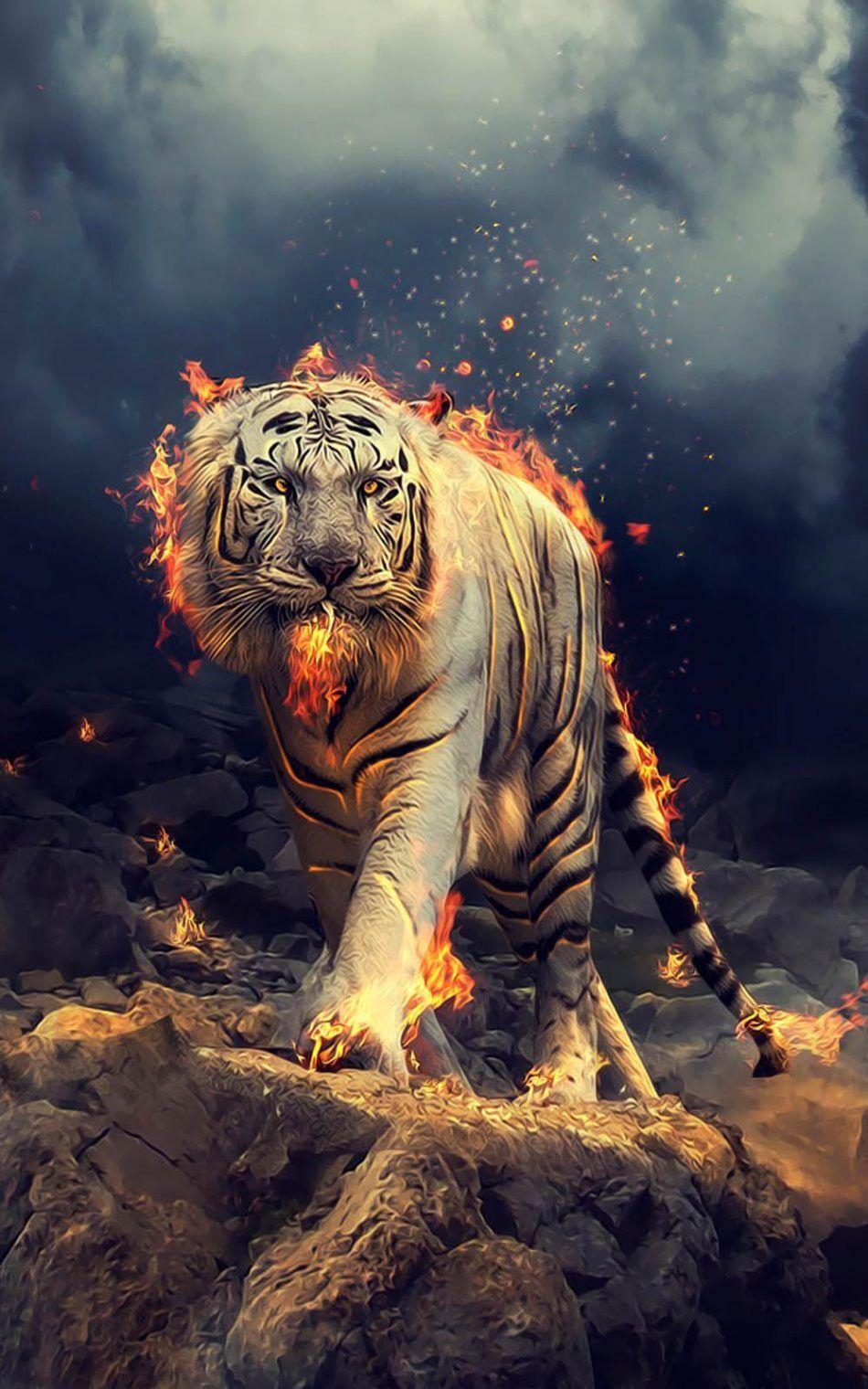 Tiger 4k Wallpapers  Top Free  Tiger 4k Backgrounds  