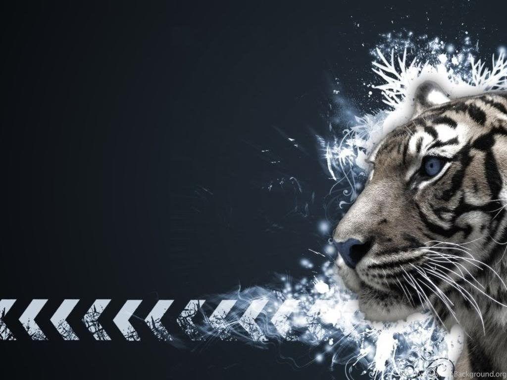 1024x768 Tiger HD Wallpaper ›› Desktop Background