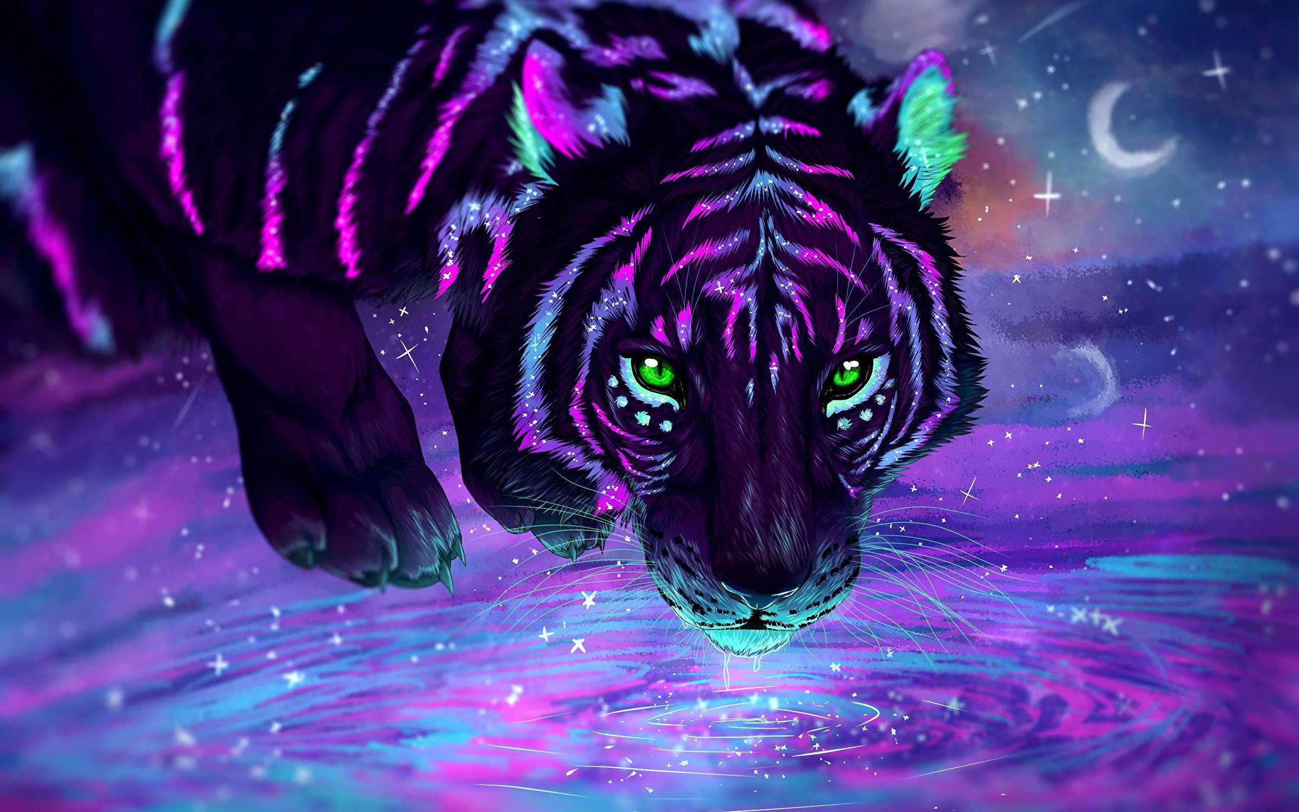 2560x1600 Tiger