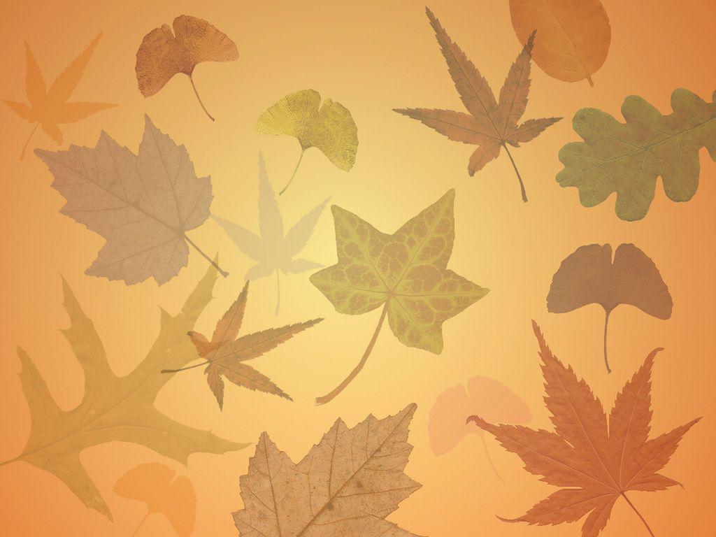 1024x768 Cute Autumn Wallpaper Group 1024x768