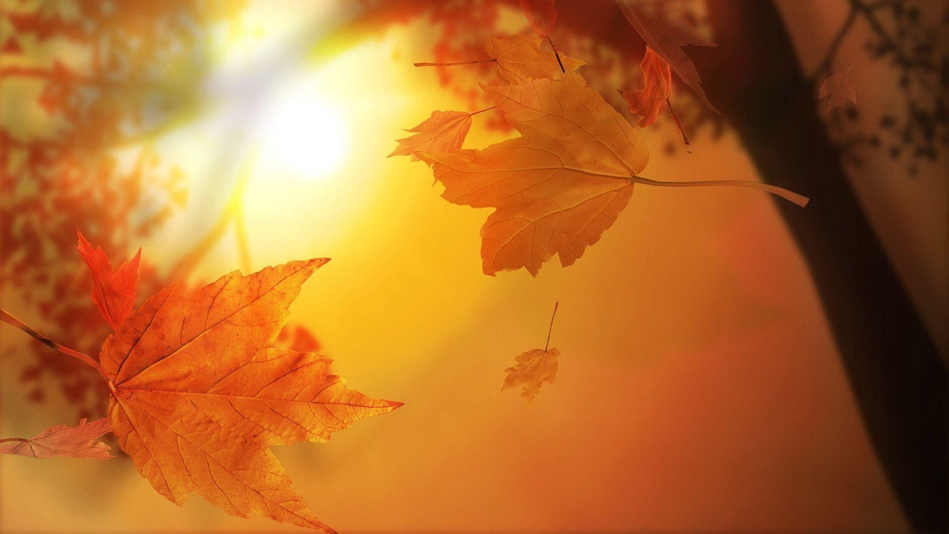 1920x1080 Cute Fall Wallpaper