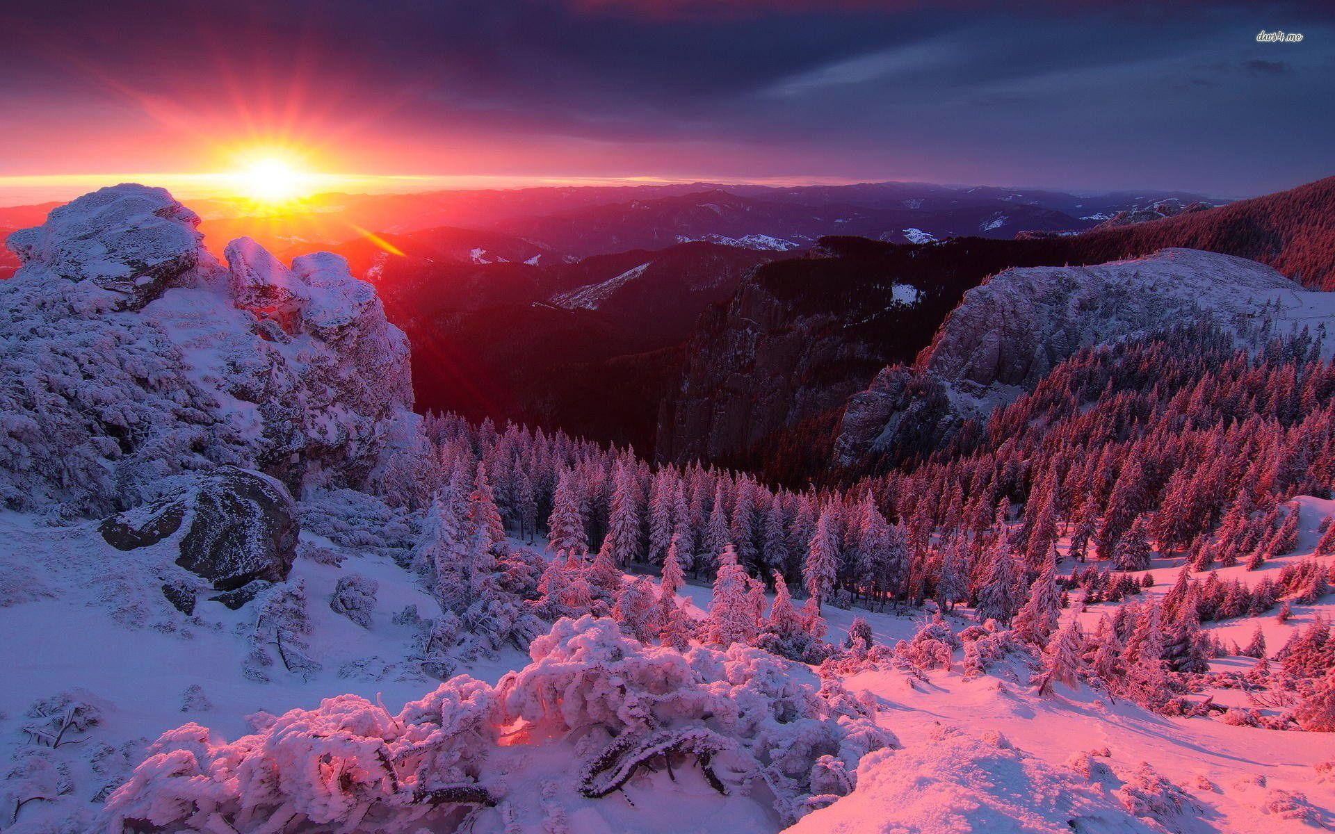 Hình nền HD 1920x1200 Winter Sunset