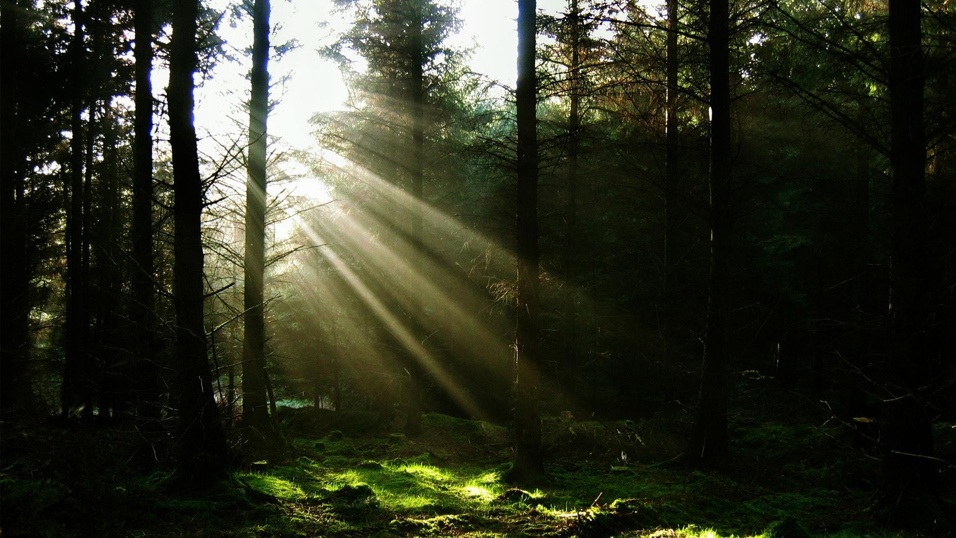 1920x1080 beautiful Sunrays Wallpaper [wallpaper Wednesday] Ray