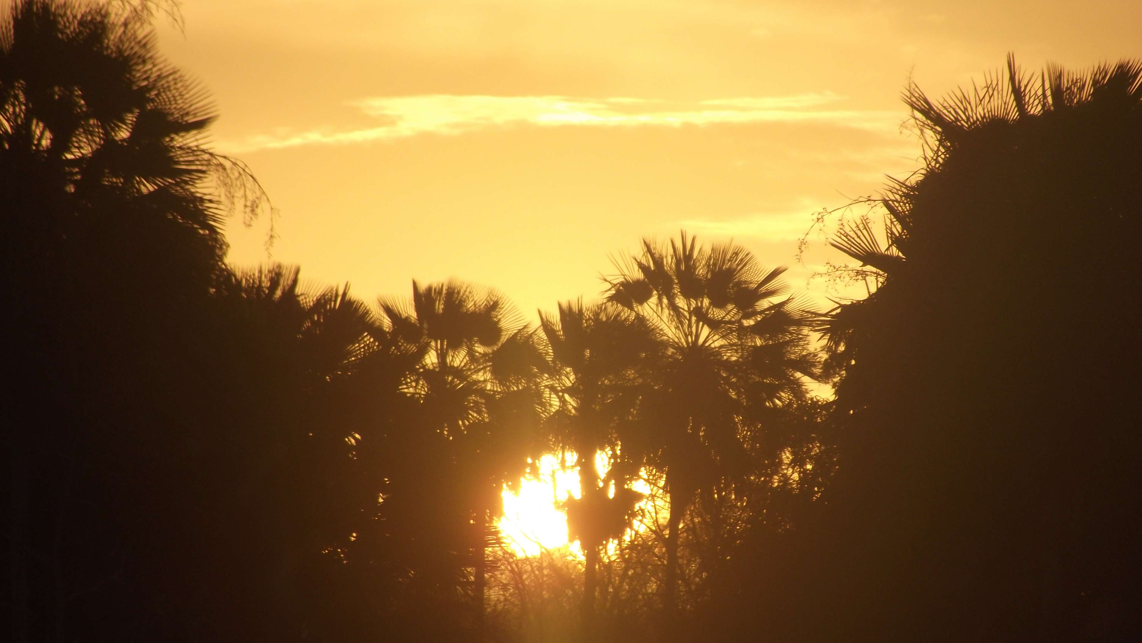3840x2164 clouds, golden sun, golden yellow, morning, morning