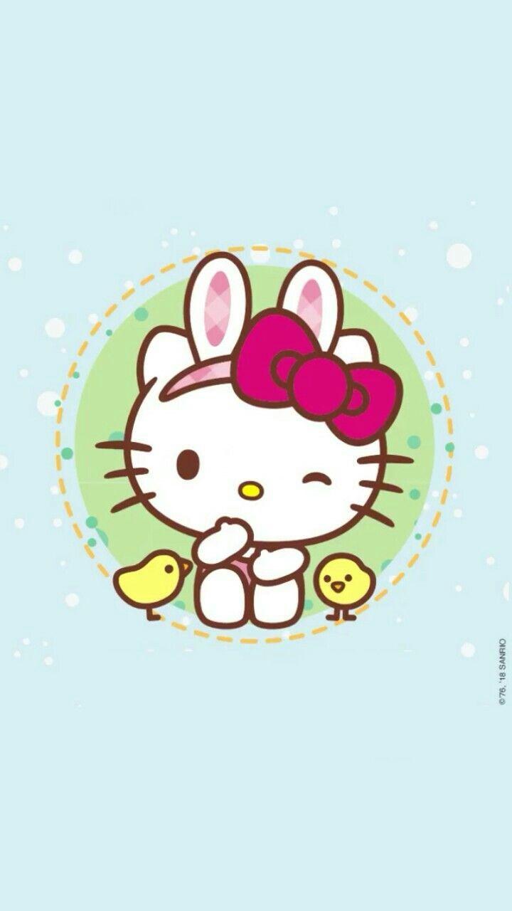 720x1280 Hello Kitty. Album. Hello kitty, Kitty, Hello kitty picture