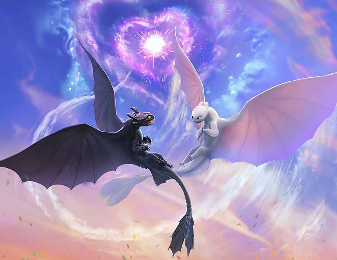 1080x834 Toothless and Light Fury are flying