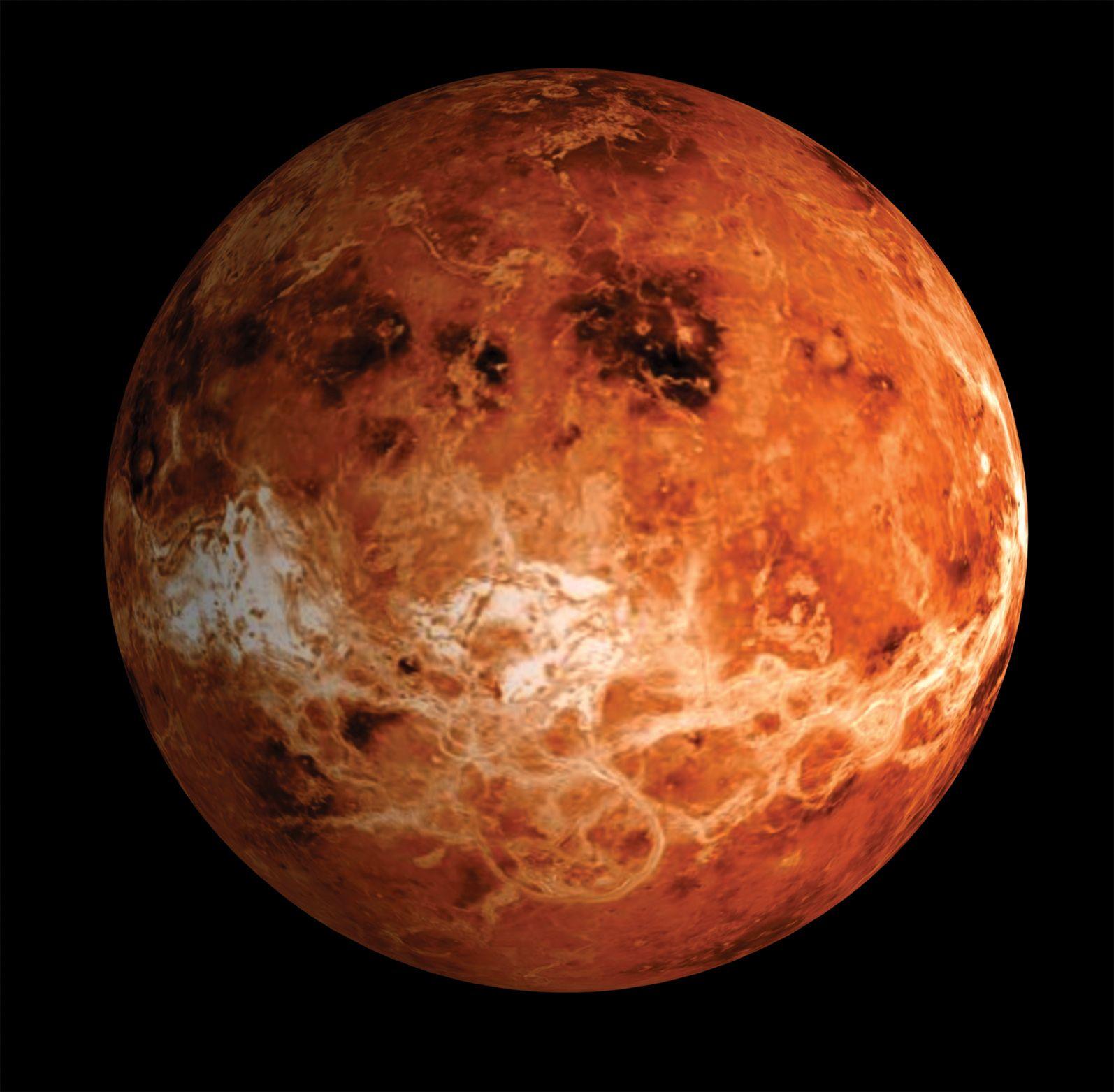 1594x1563 Venus Wallpaper, Shine Venus Wallpaper