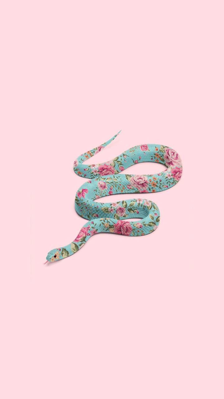 Snake Aesthetics Wallpapers - Top Free Snake Aesthetics Backgrounds
