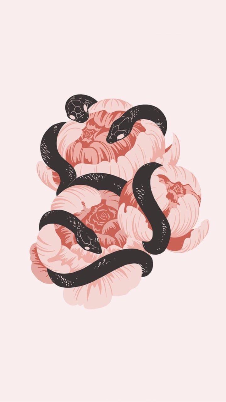 Snake & Roses by Célia Margotteau on Dribbble