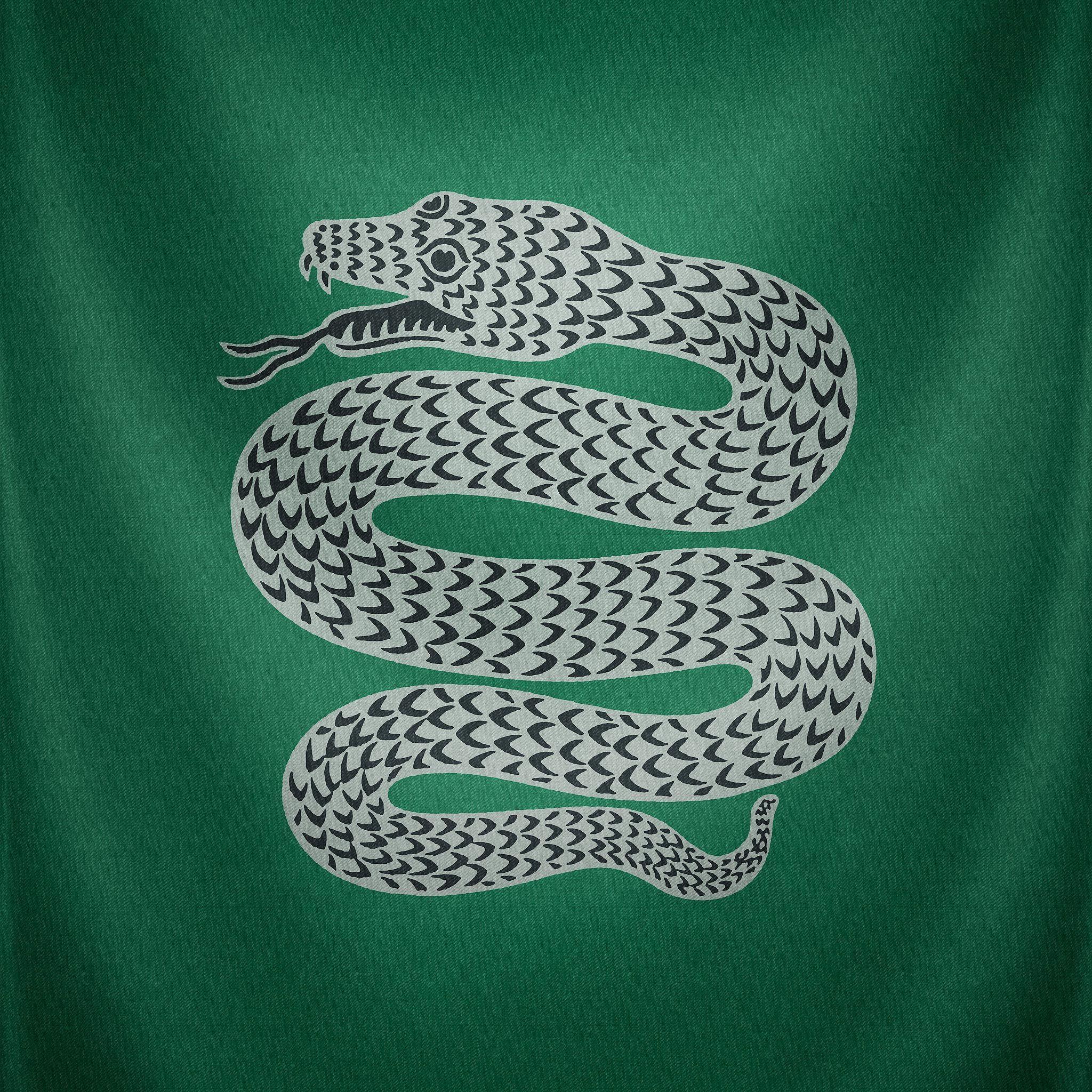 2048x2048 Slytherin iPhone Wallpaper