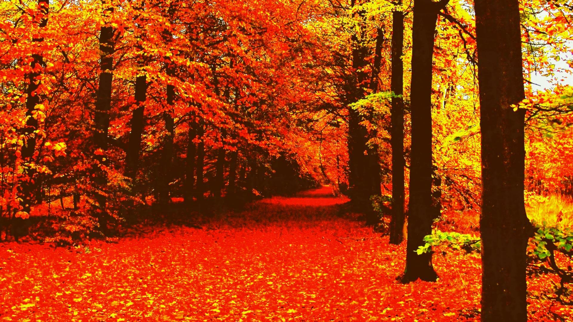 Autumn Aesthetic Laptop Wallpapers - Top Free Autumn Aesthetic Laptop ...