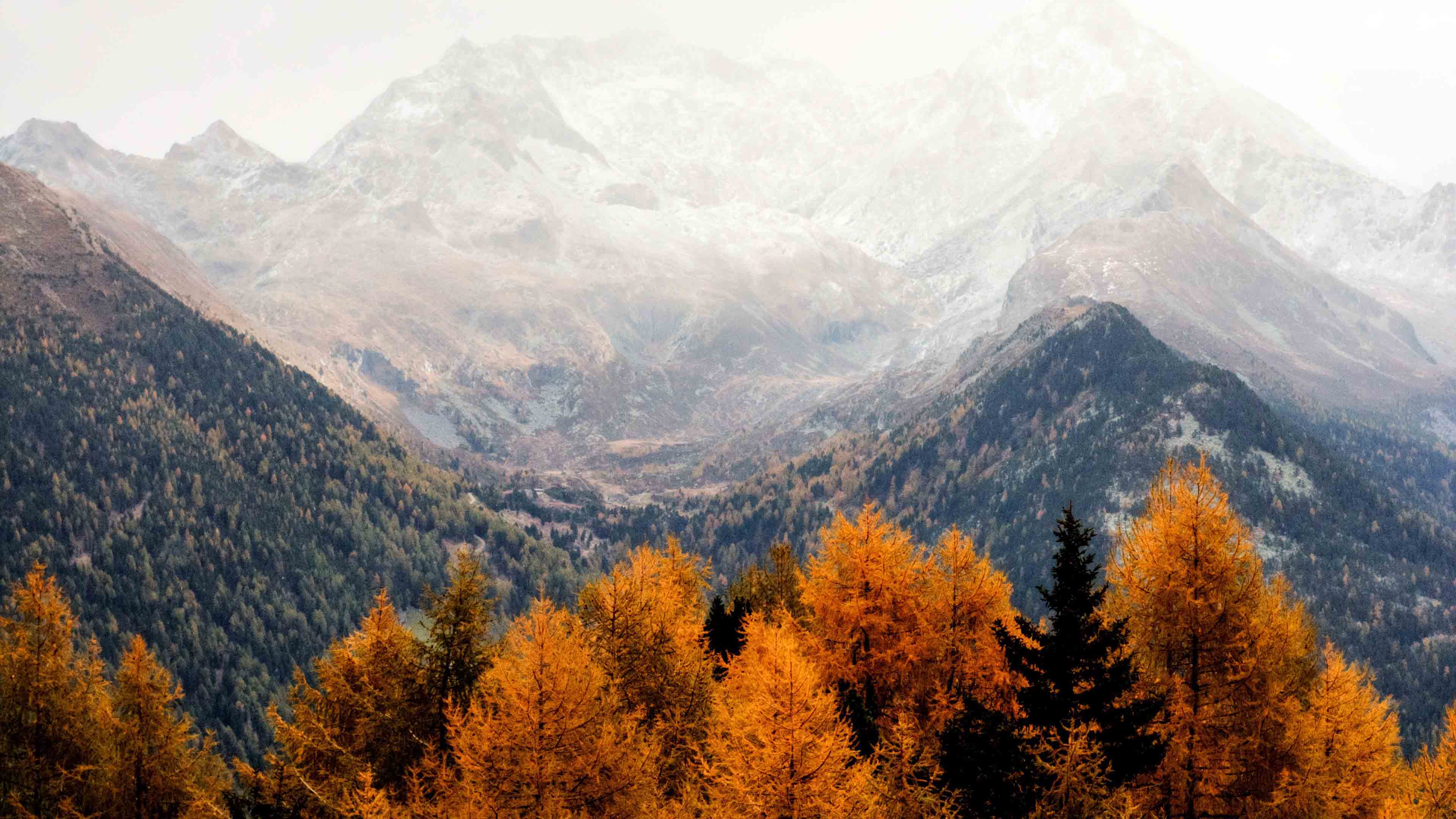 Autumn Aesthetic Wallpapers Top Free Autumn Aesthetic Backgrounds 
