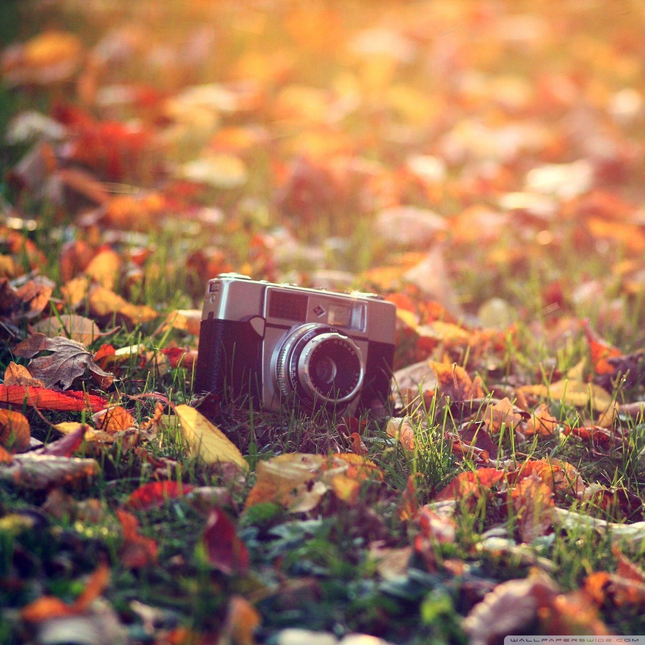 1280x1280 Old Camera ❤ 4K HD Desktop Wallpaper for 4K Ultra HD TV