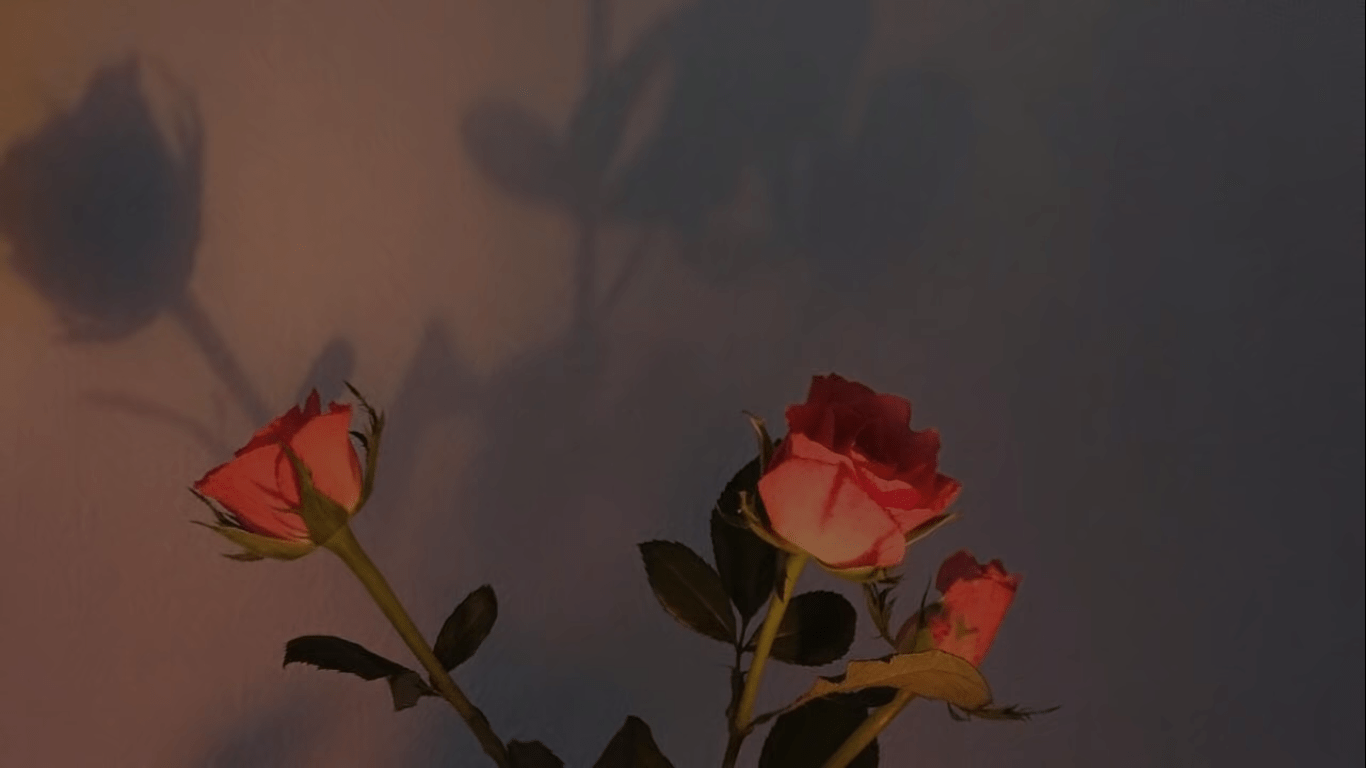 Download Burning Black Rose Aesthetic Wallpaper  Wallpaperscom