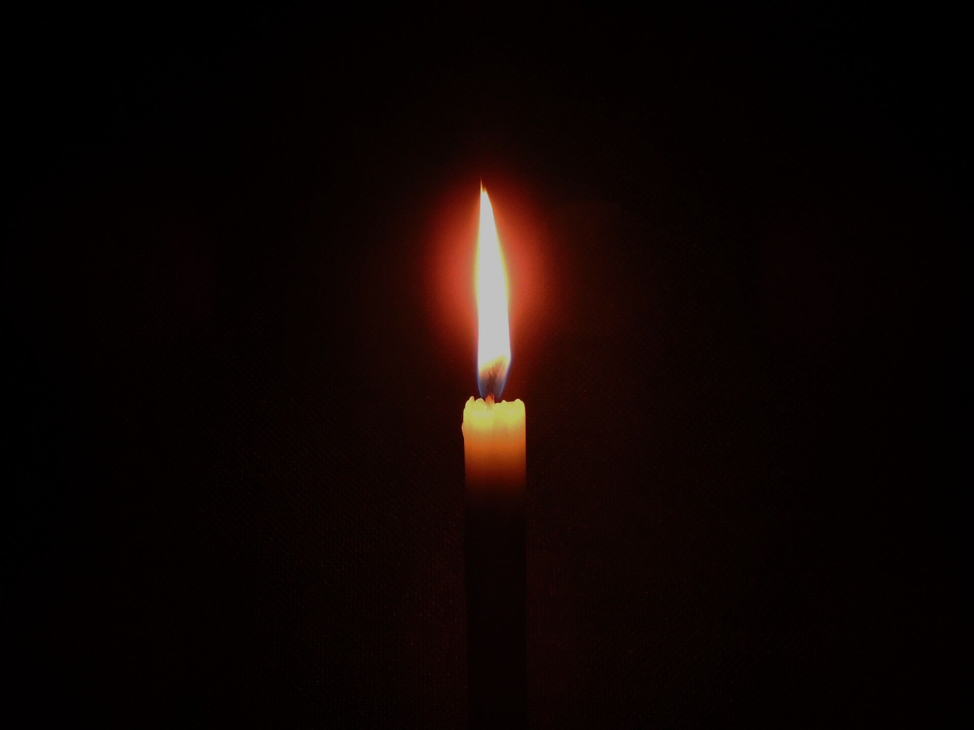1920x1440 CANDLEMAS: SPRING BEGINS