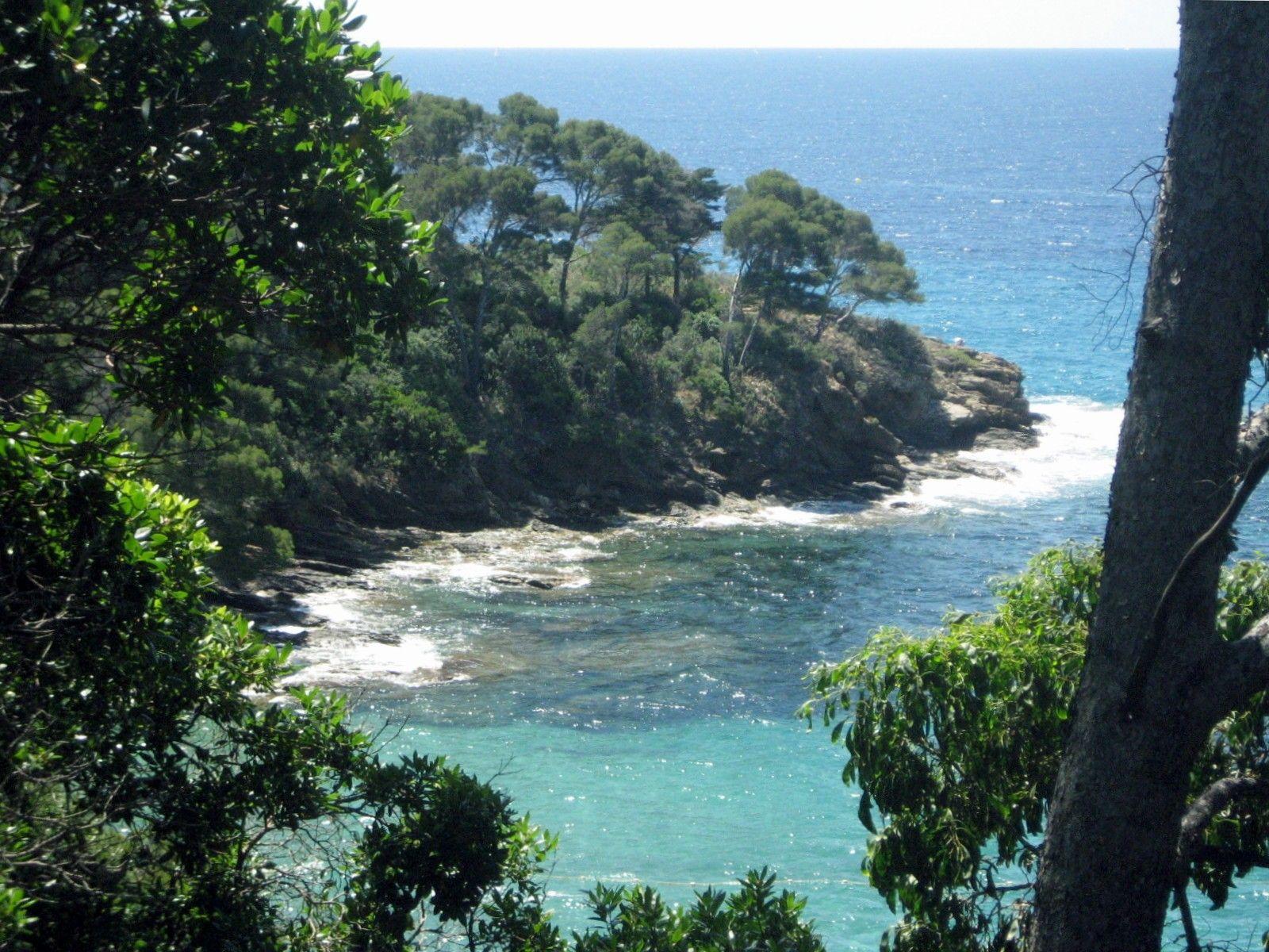 1600x1200 Ocean Sea: Beach Water Blue Sky Trees France Tree Nature Ocean South
