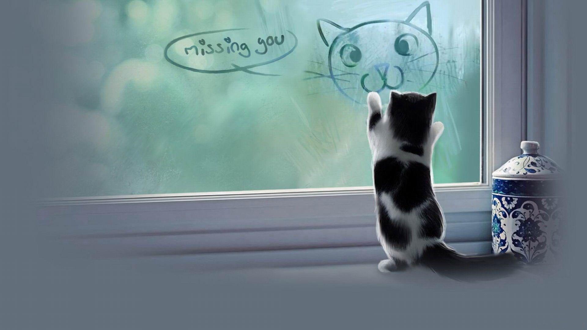 一隻貓透過窗戶看圖片素材-JPG圖片尺寸6144 × 4096px-高清圖案501511142-zh.lovepik.com