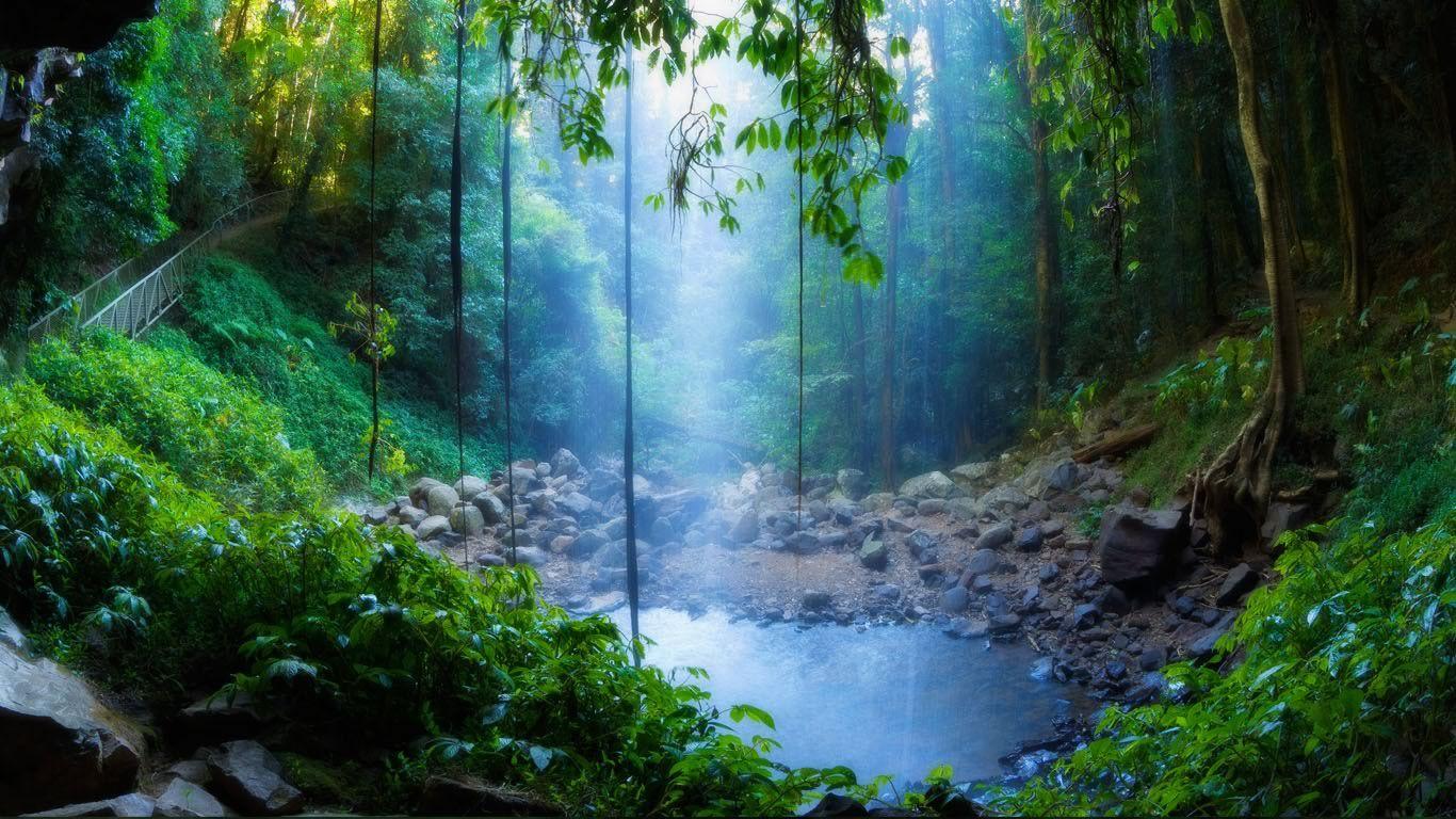 1366x768 Bing Wallpaper Archive
