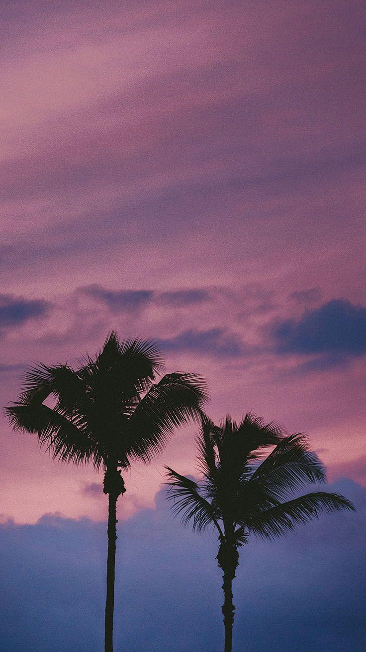 736x1308 Let's go Coconuts! Enjoy 10 Tropical iPhone Wallpaper