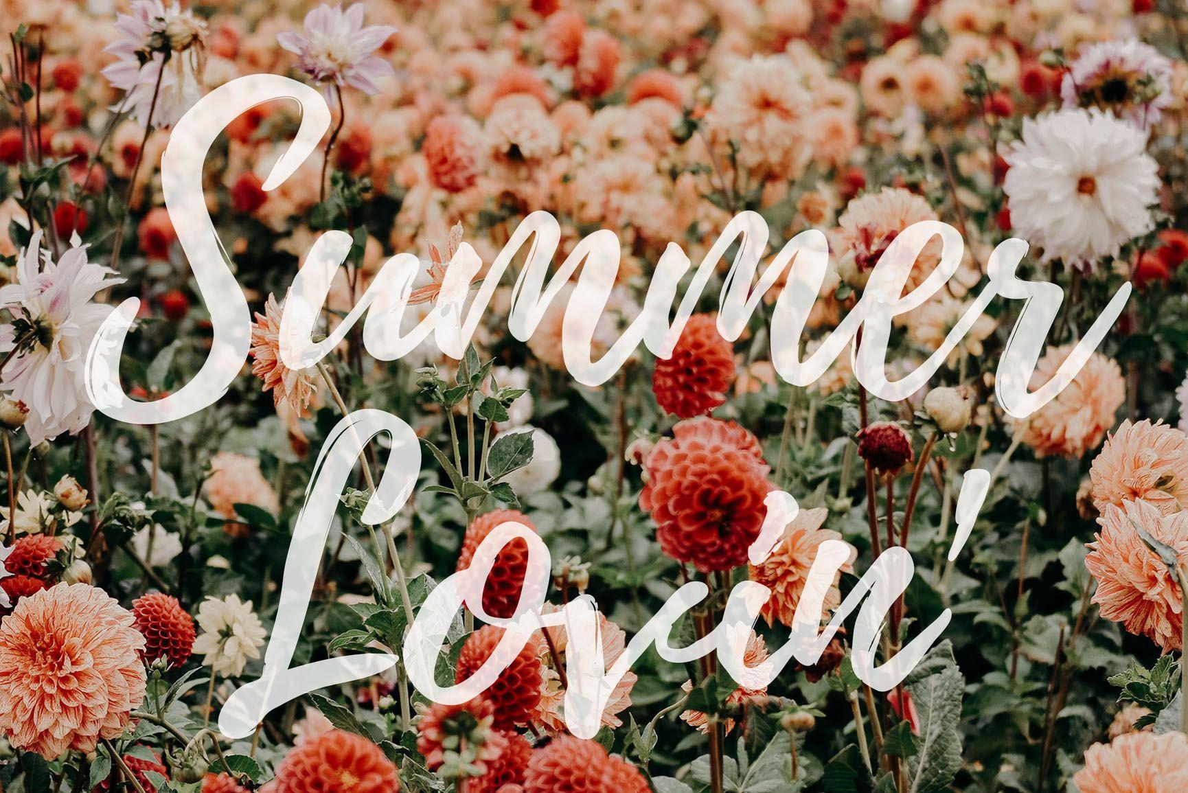 1730x1155 Summer Lovin' Quotes iPhone Wallpaper Collection. Preppy