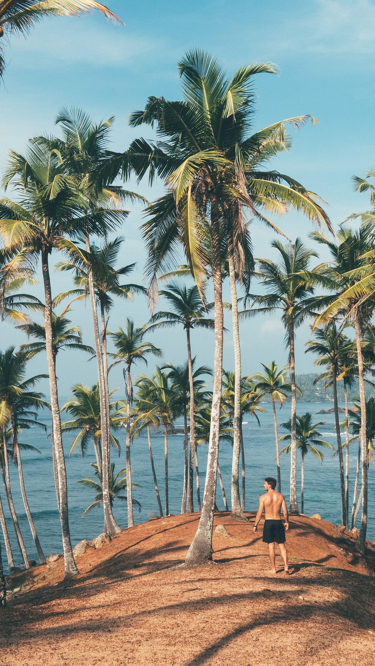 1242x2208 iPhone wallpaper. summer vacation