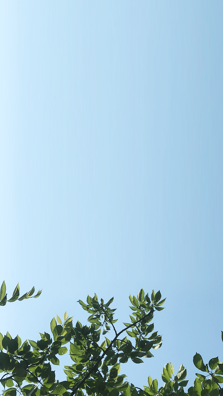 750x1334 iPhone 6S wallpaper collection. [All about summer]