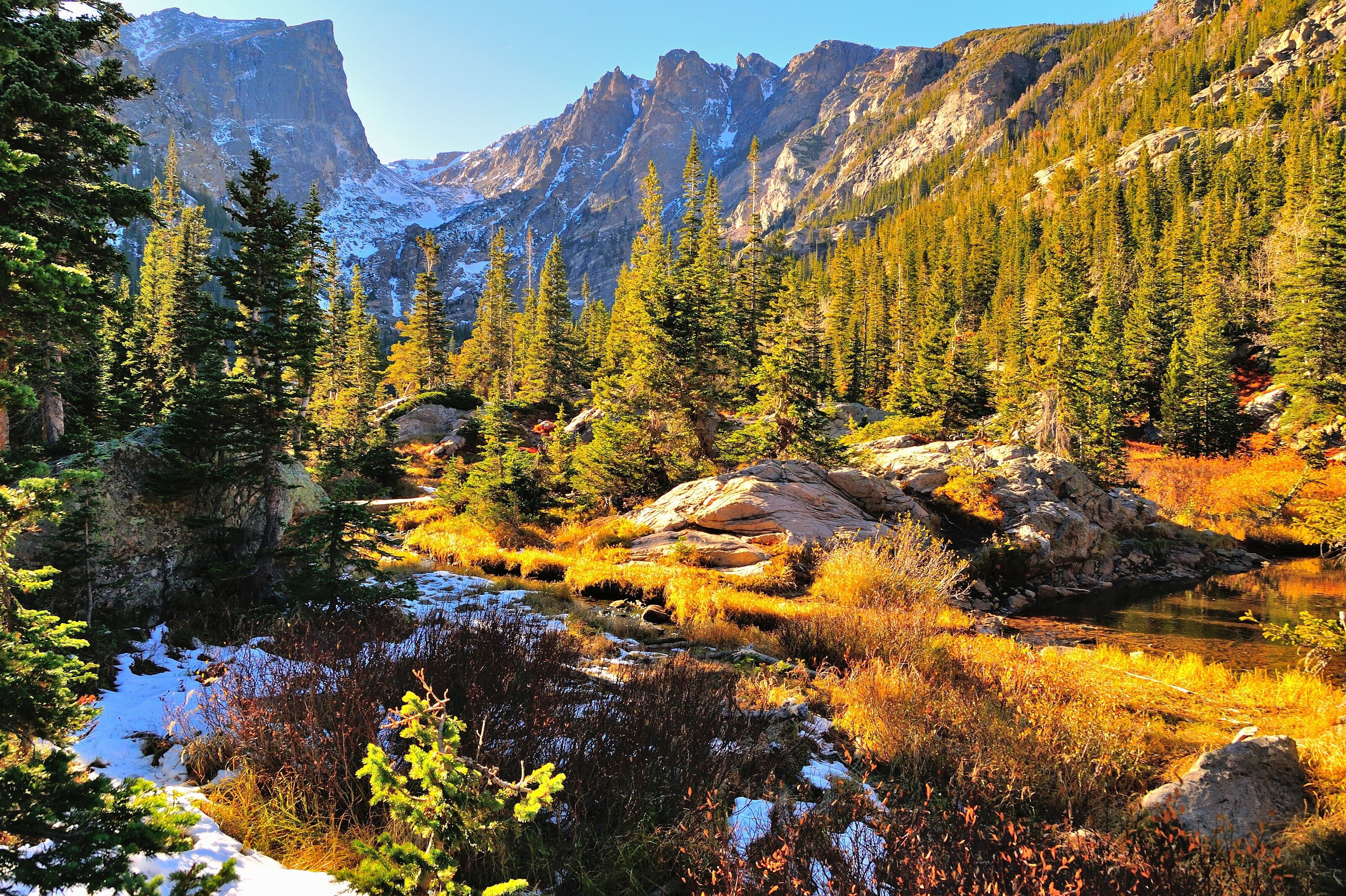 3200x2131 Colorful Rocky Mountain Forest Wall Mural
