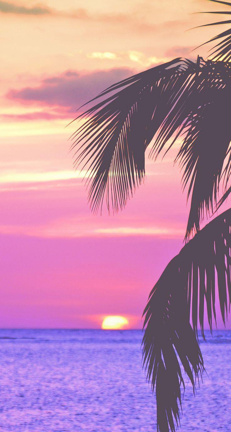736x1377 Nature Wallpaper: pink palm trees, iPhone Wallpaper