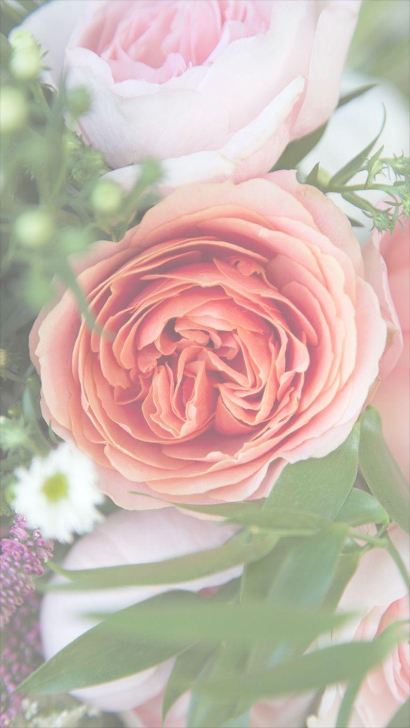 845x1500 Free Floral Phone Wallpaper Â€¢ Summer Collection