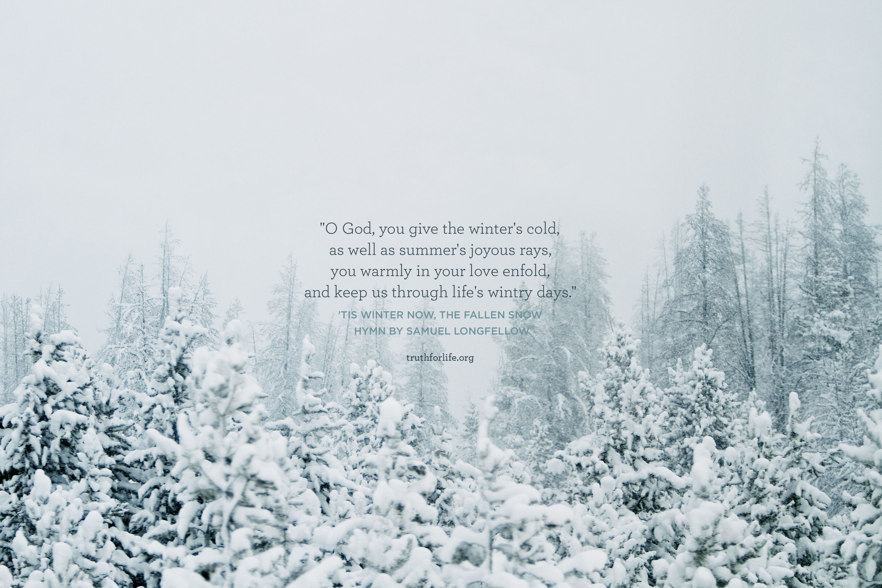 3000x2000 Winter Hymn: Wallpaper
