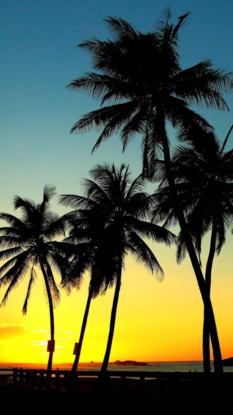 750x1334 Free download Palm trees sunset HD iPhone 6 Wallpaper [750x1334] for your Desktop, Mobile & Tablet. Explore Sunset Palm Trees Wallpaper. Tropical Sunset Wallpaper Desktop, Beach Palm Trees Wallpaper
